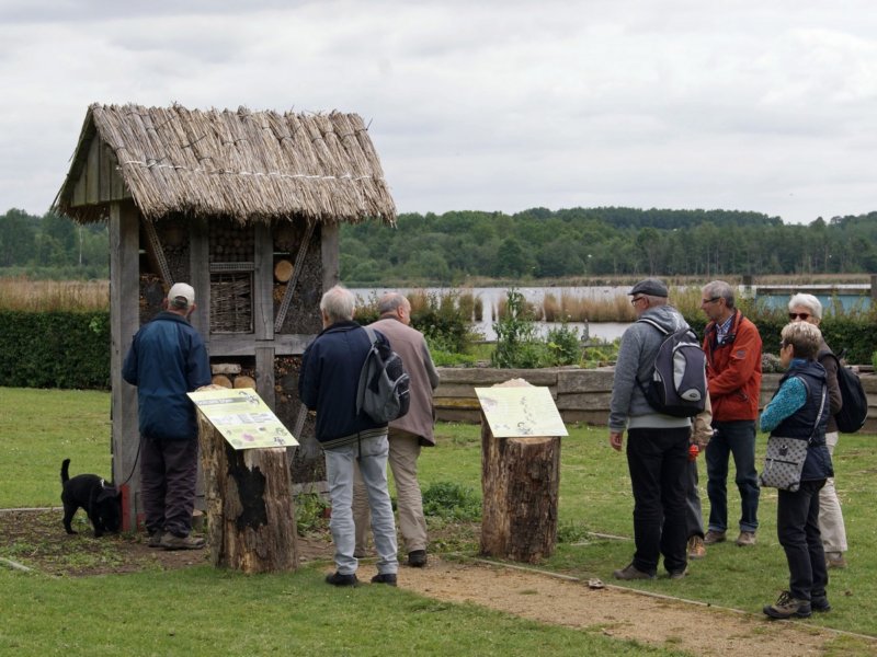 zoutleeuw22.jpg