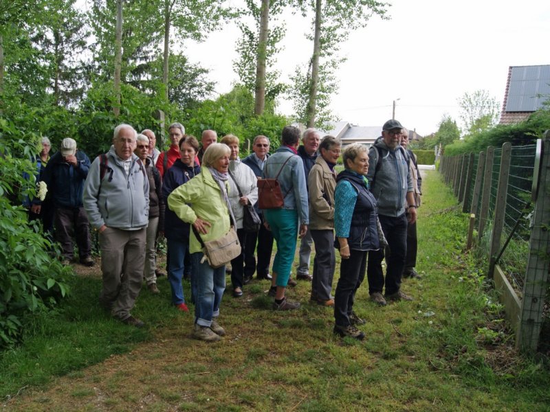 zoutleeuw27.jpg