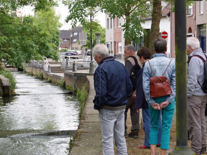 zoutleeuw30.jpg