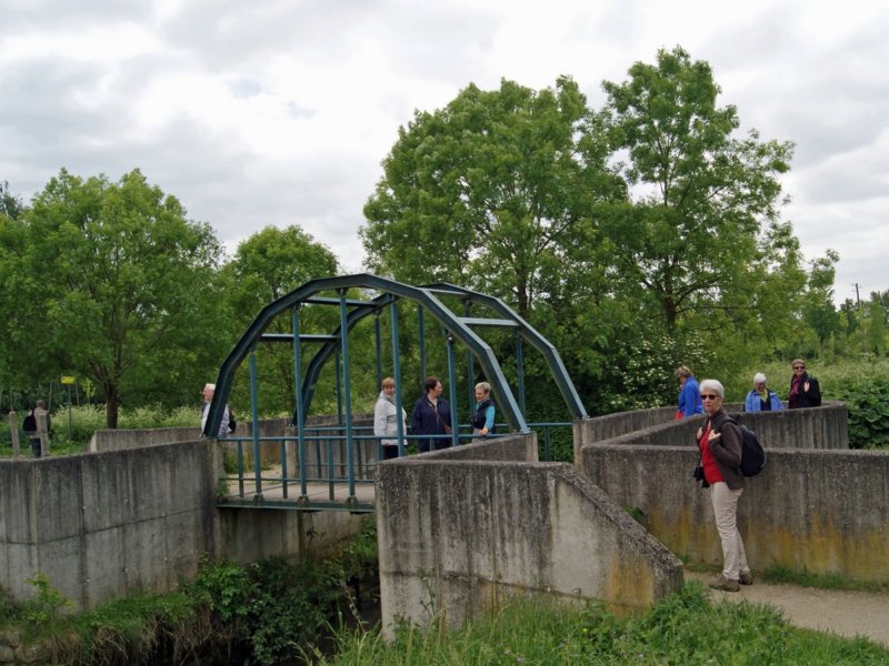 zoutleeuw34.jpg