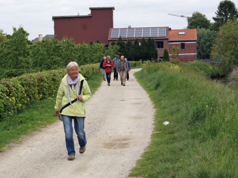 zoutleeuw35.jpg