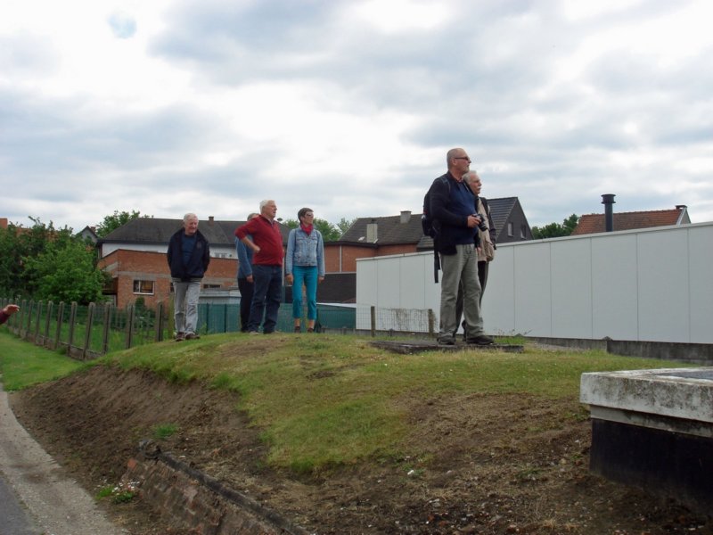 zoutleeuw37.jpg
