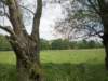 boortmeerbeek02_small.jpg