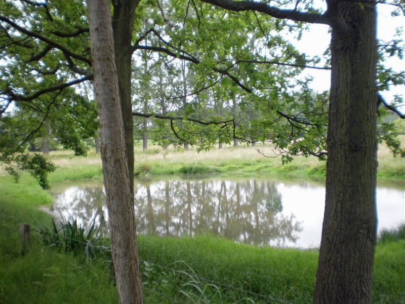 boortmeerbeek09.jpg
