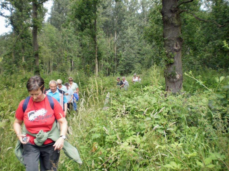 boortmeerbeek18.jpg