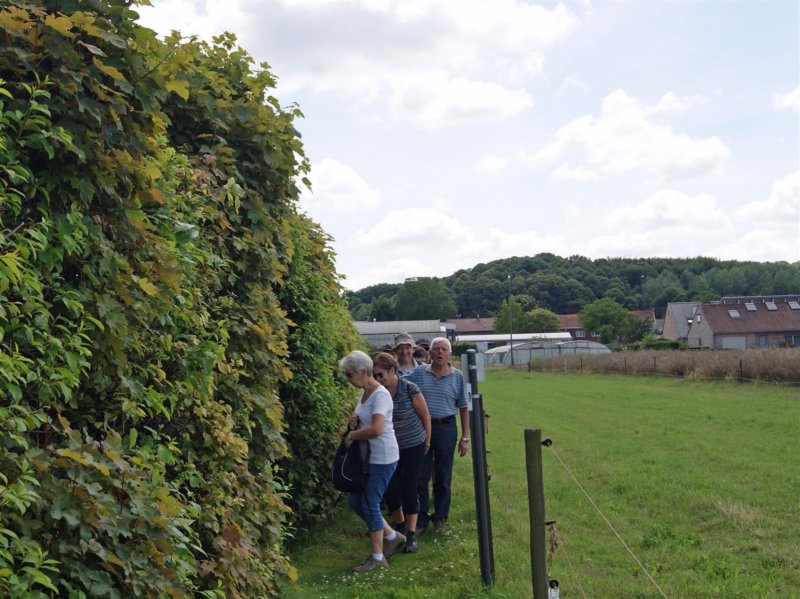holsbeek04.jpg