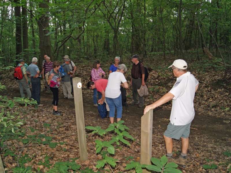 holsbeek09.jpg