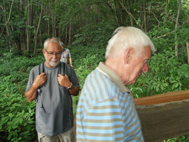 holsbeek13.jpg