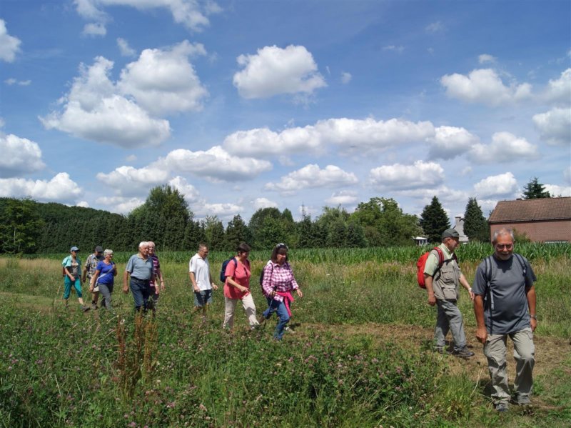 holsbeek17.jpg