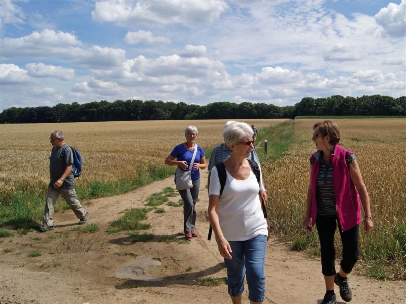 holsbeek21.jpg