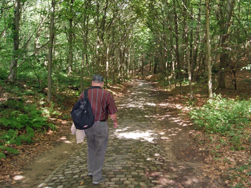 holsbeek27.jpg