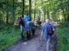 weert11_small.jpg
