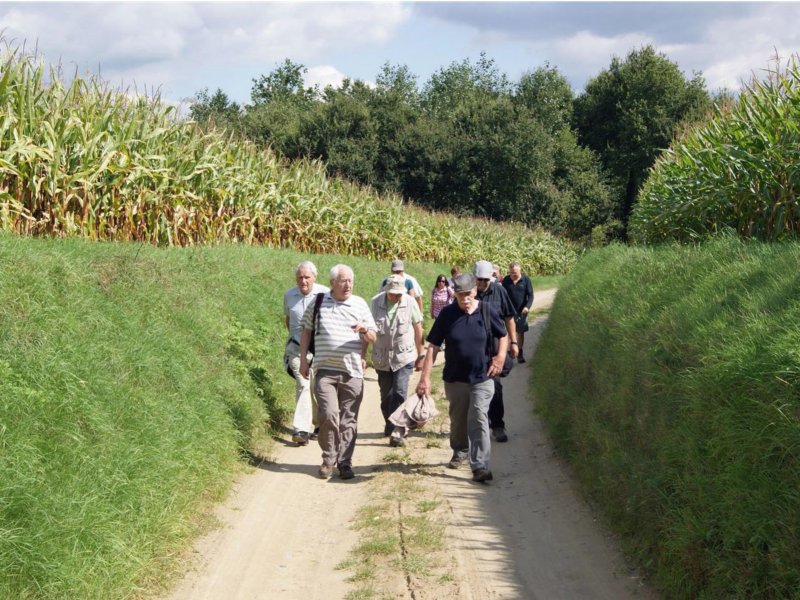 korbeeklo09.jpg