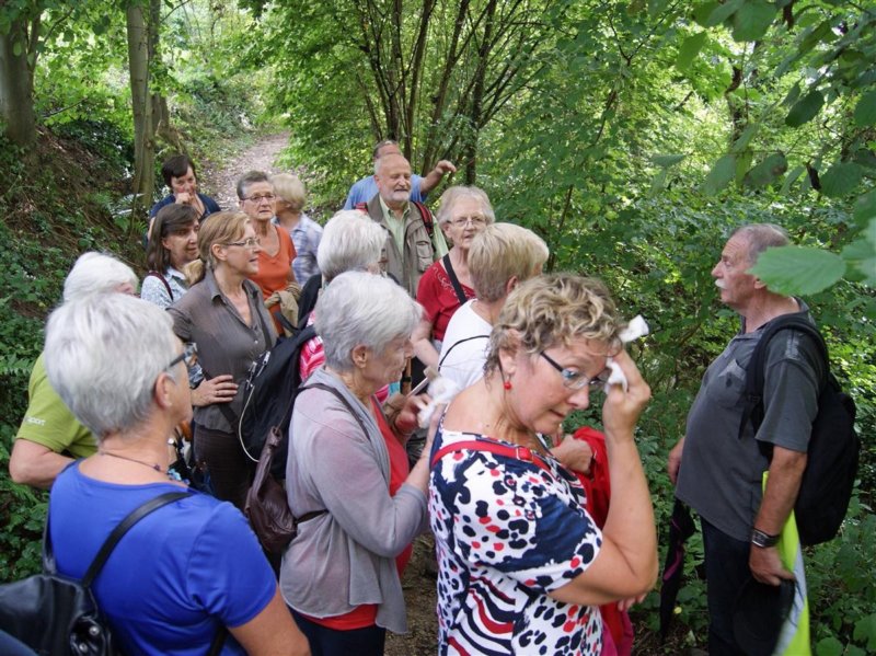 bierbeek15.jpg