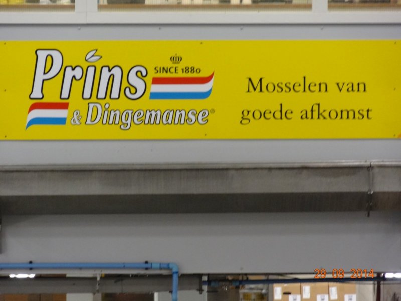 zeeland22.jpg