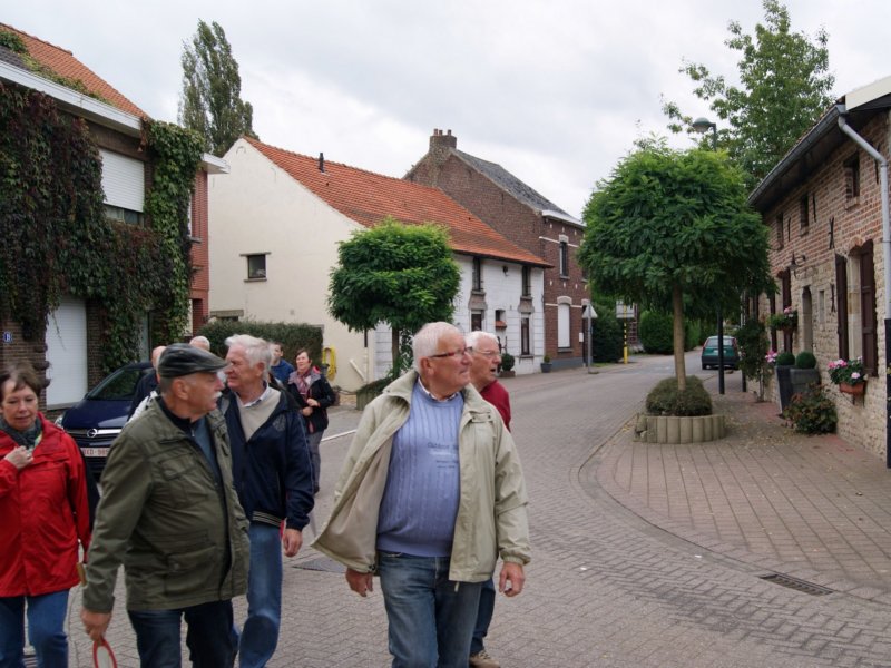 nederokkerzeel03.jpg