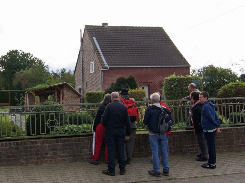 nederokkerzeel16.jpg