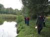 nederokkerzeel20_small.jpg