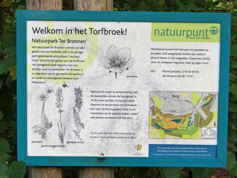 nederokkerzeel23.jpg