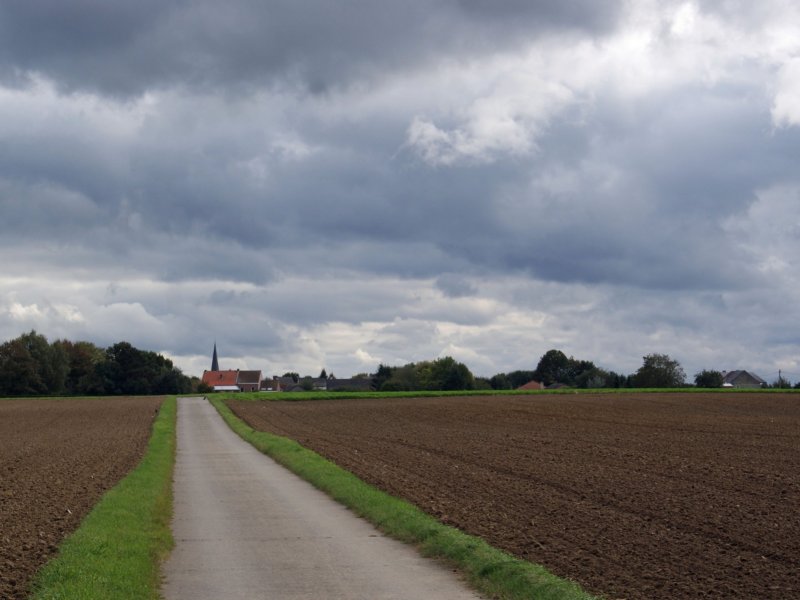 nederokkerzeel24.jpg
