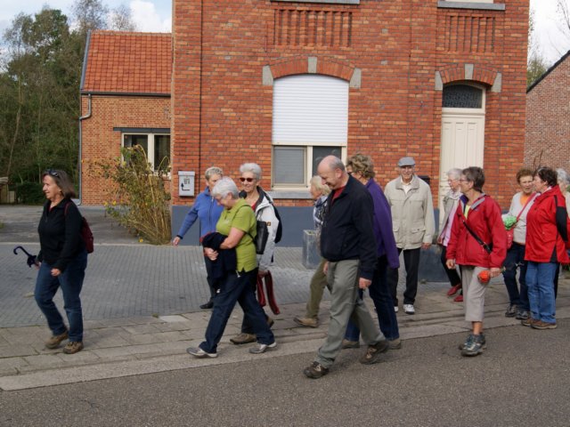 rotselaar12.jpg