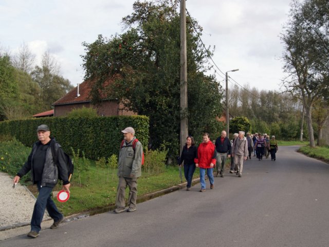 rotselaar16.jpg