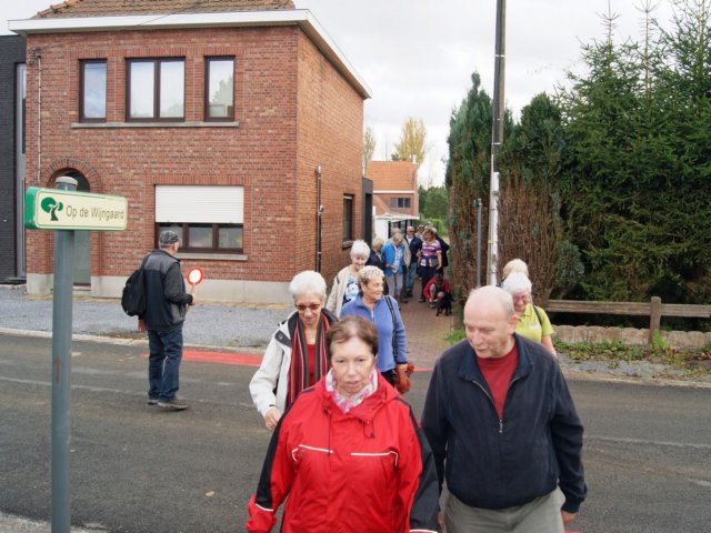 rotselaar20.jpg