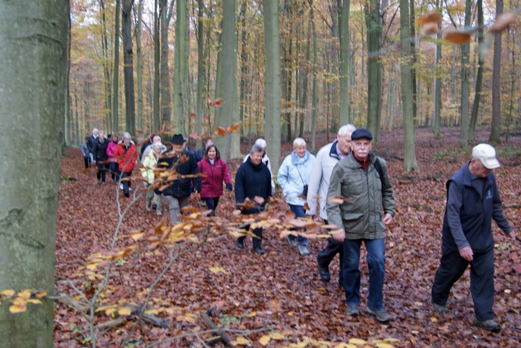oudheverlee08.jpg