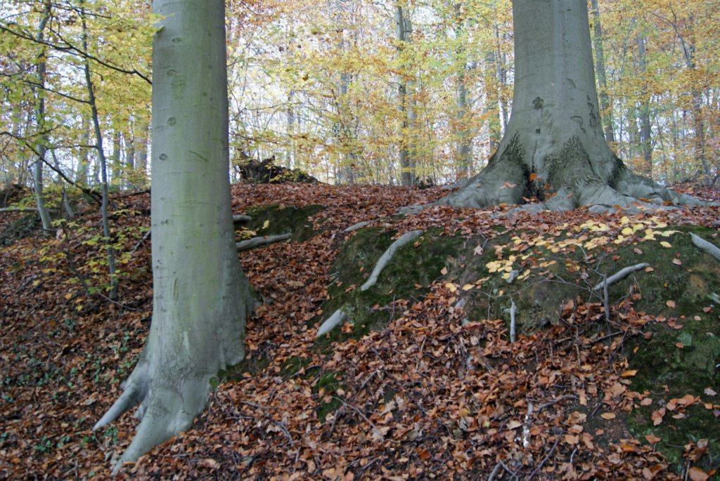 oudheverlee26.jpg