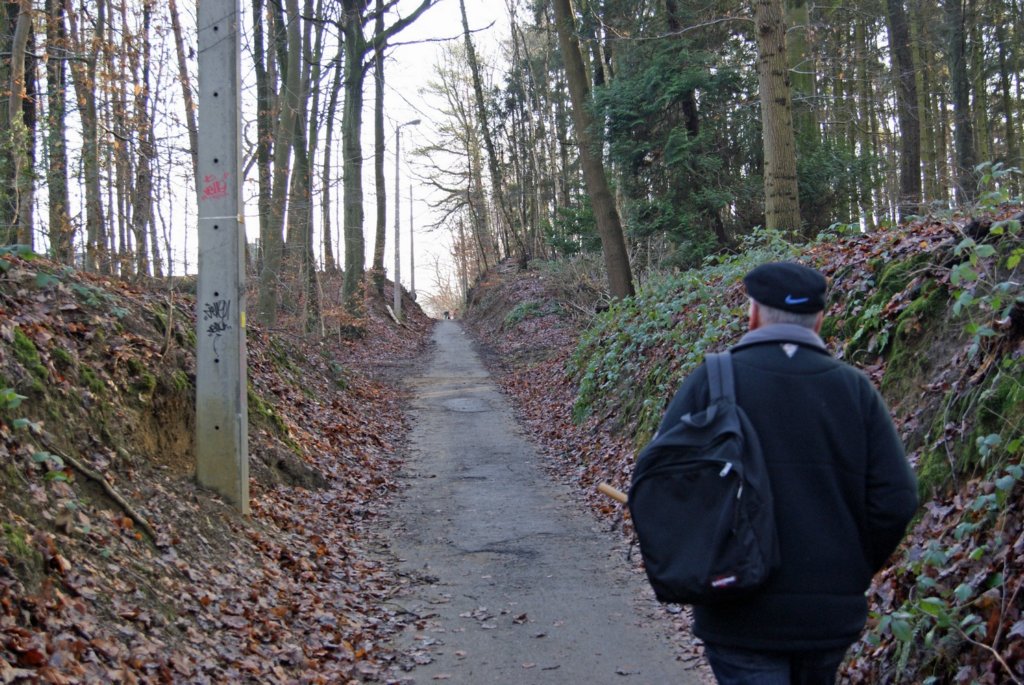 kortenberg06.jpg