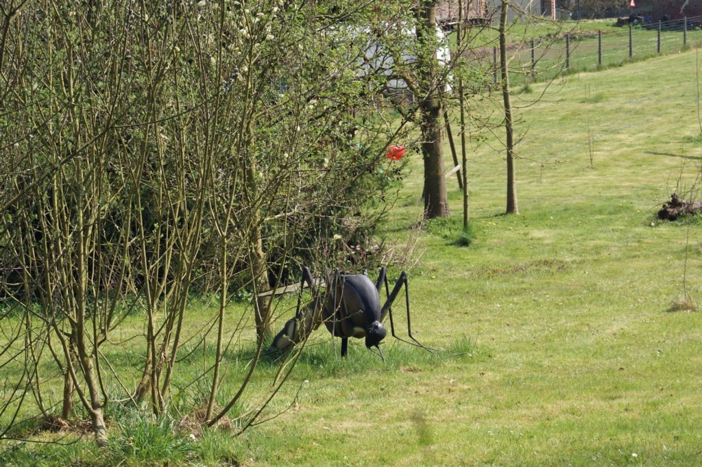 leefdaal08.jpg