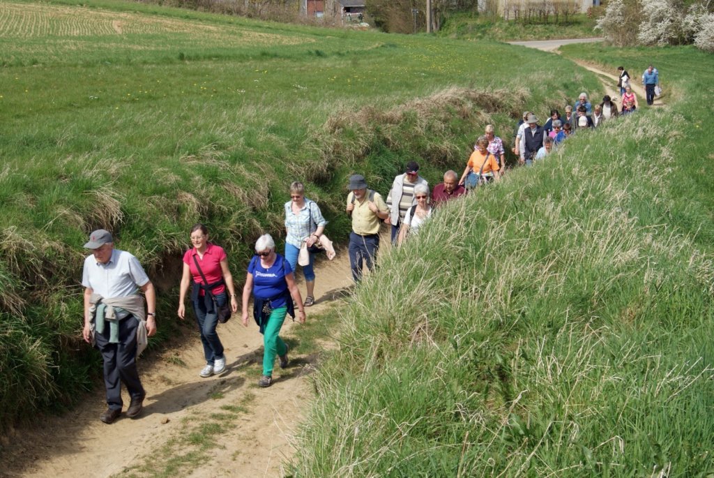 leefdaal19.jpg