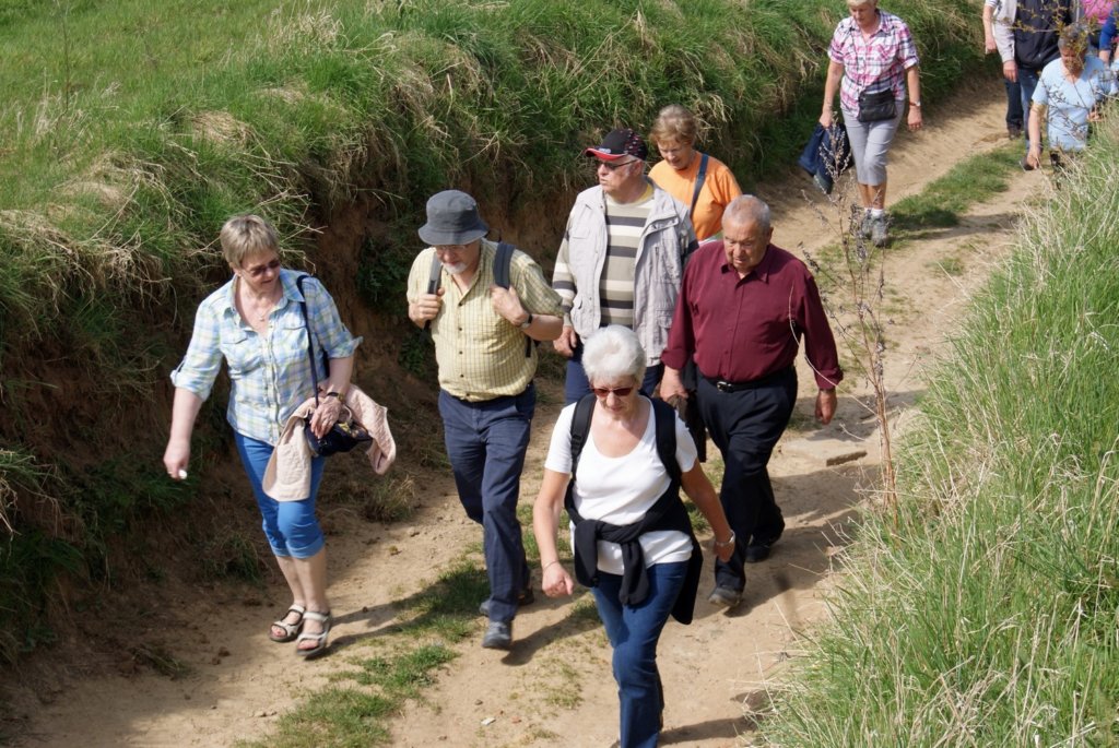 leefdaal20.jpg