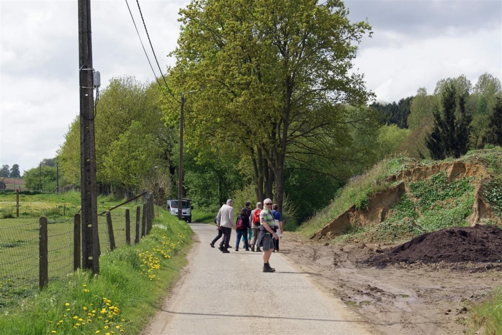 lubbeek05.jpg