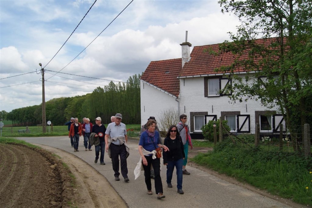 lubbeek08.jpg