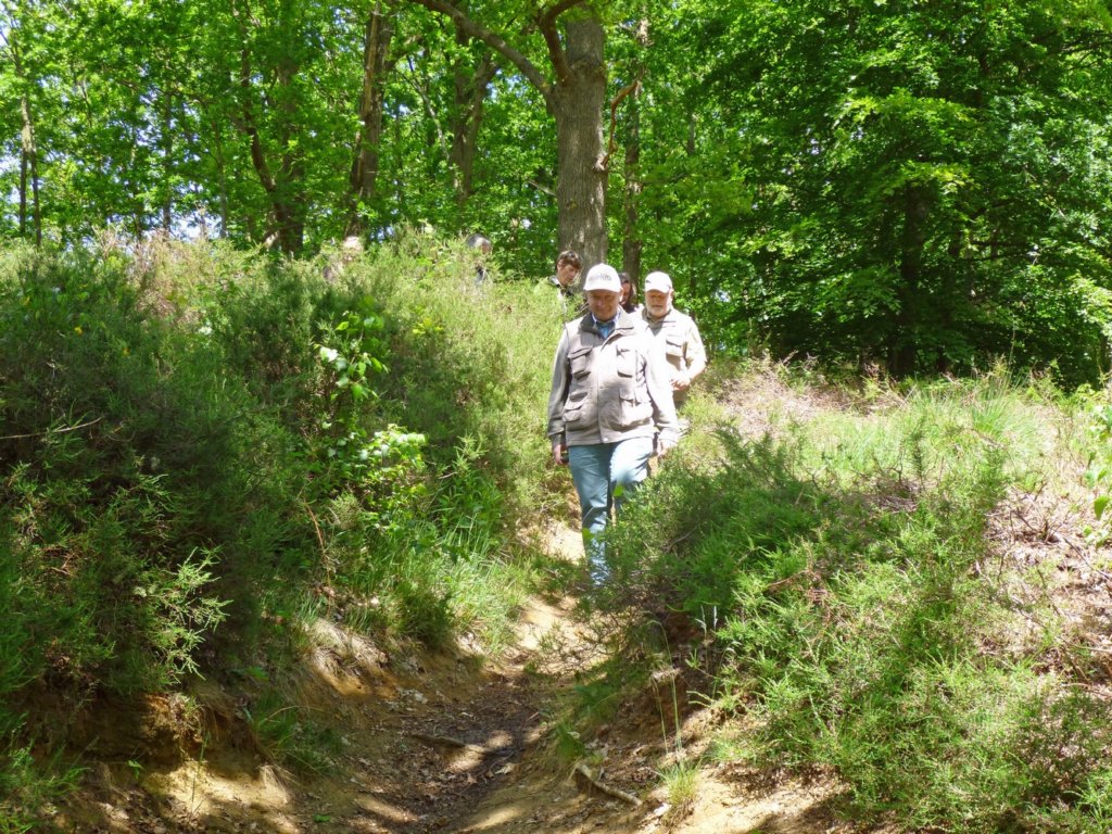 gelrode07.jpg