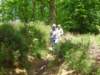 gelrode07_small.jpg