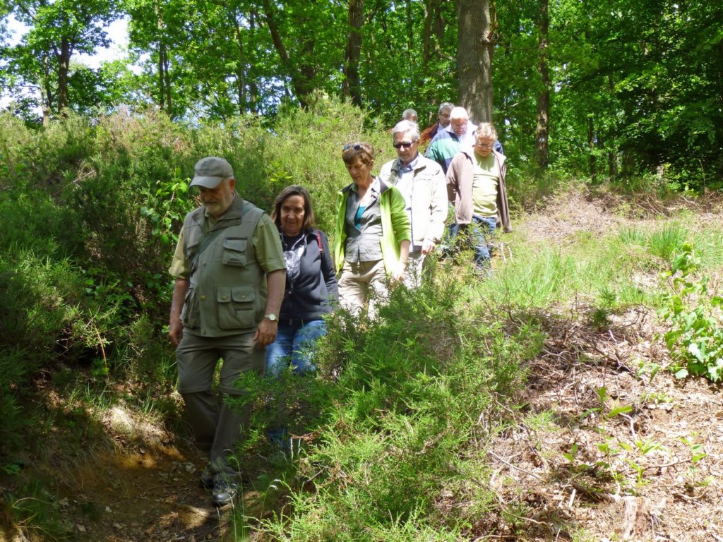 gelrode08.jpg