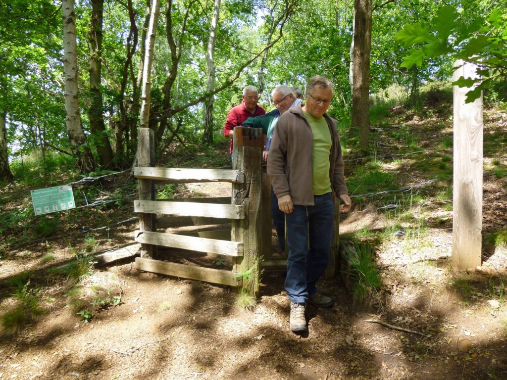gelrode09.jpg