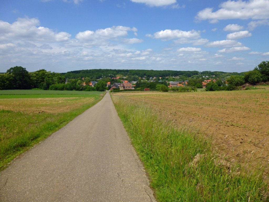 gelrode14.jpg