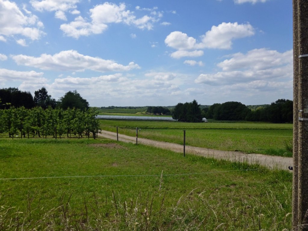 gelrode16.jpg