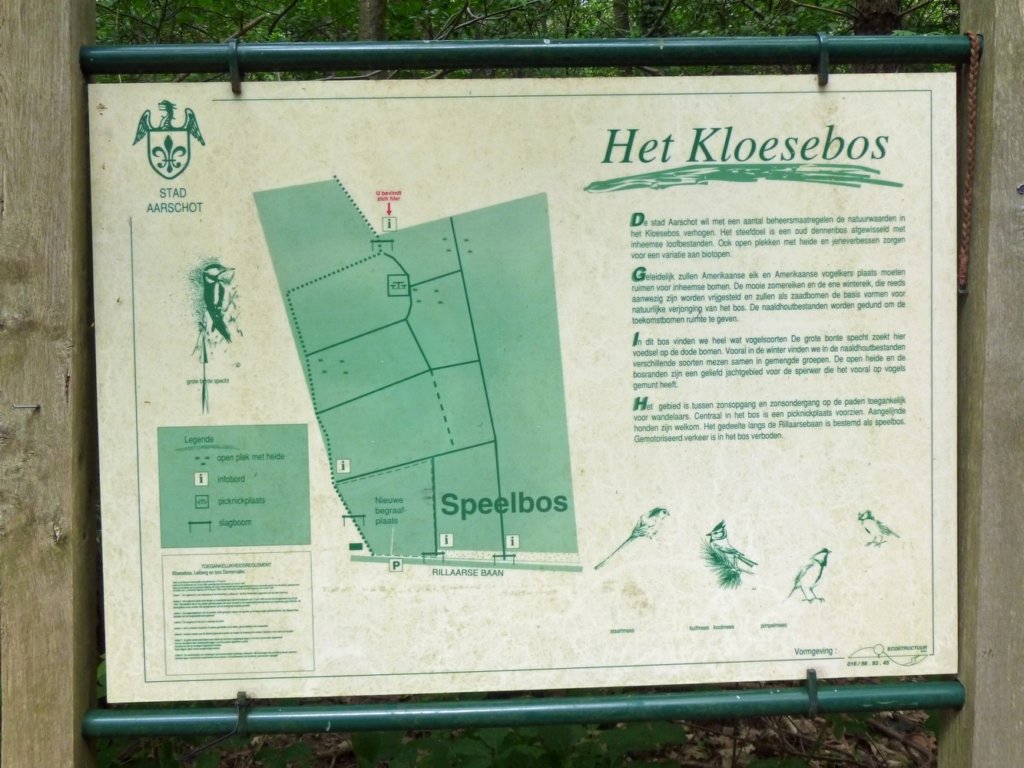 gelrode22.jpg