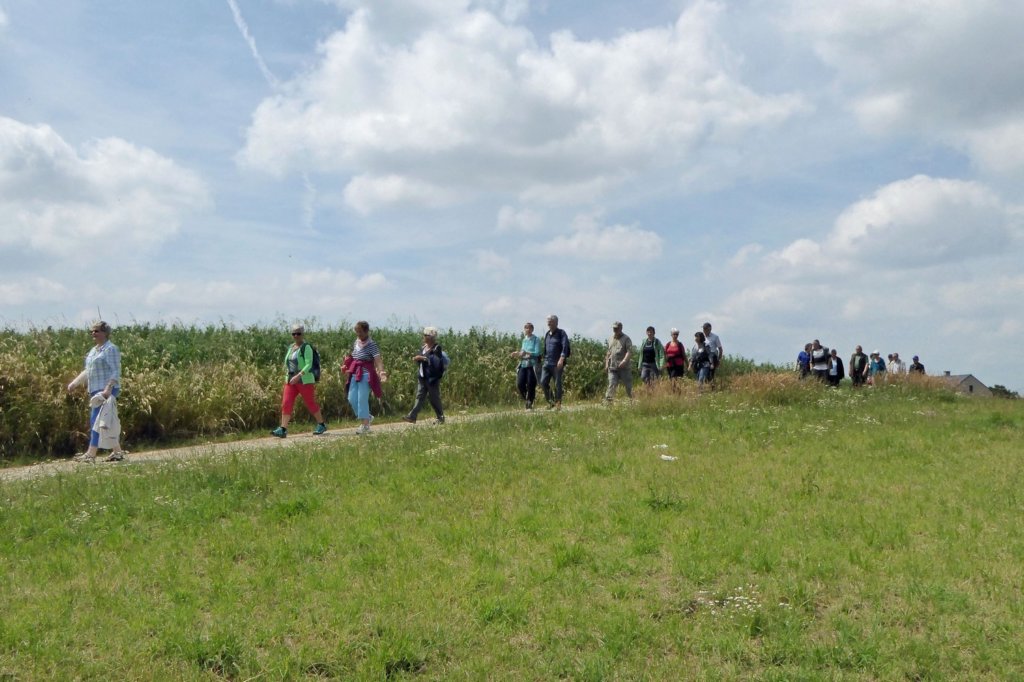 everberg08.jpg
