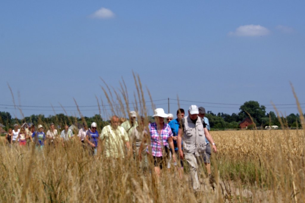boortmeerbeek09.jpg