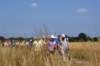 boortmeerbeek09_small.jpg