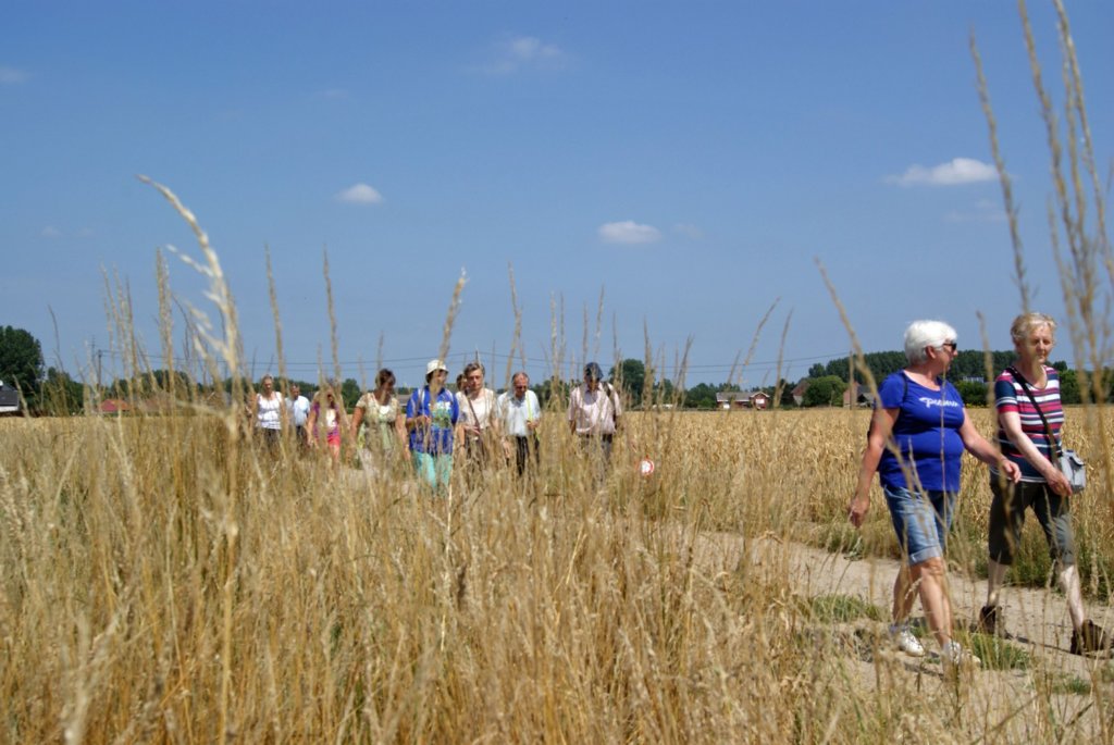 boortmeerbeek10.jpg