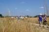 boortmeerbeek10_small.jpg