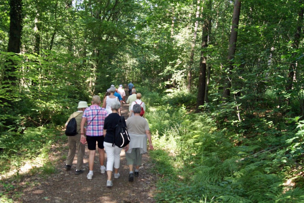 boortmeerbeek17.jpg