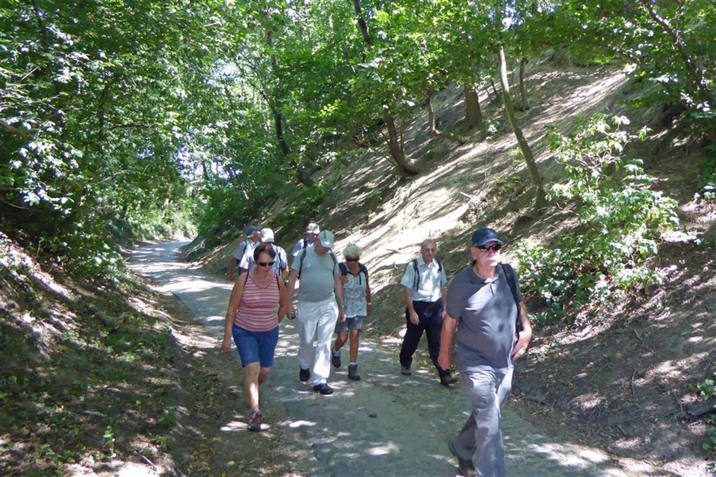 bierbeek03.jpg