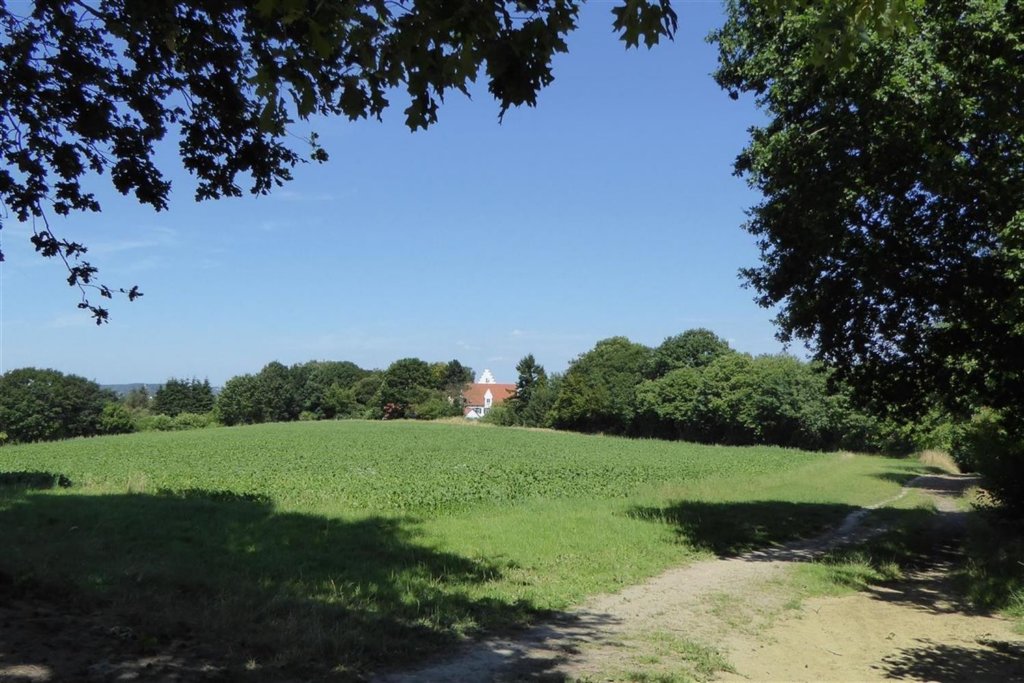 bierbeek07.jpg